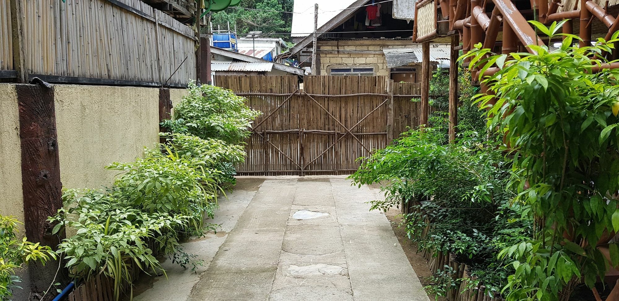 Ced Pension El Nido Esterno foto